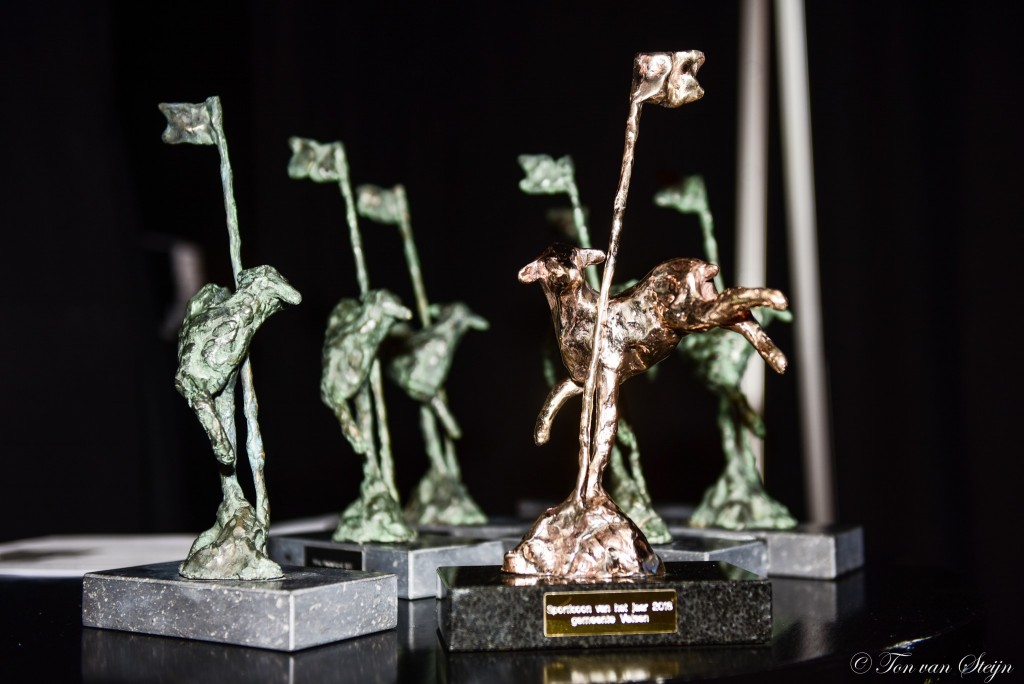 Wie worden Velsense sportkampioenen 2019?