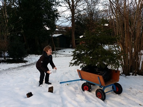 Adopteer een kerstboom via PV-museum