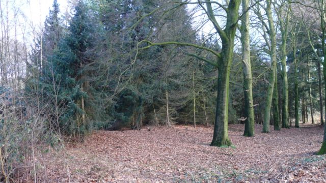 Wandeltocht door de duinen van Santpoort