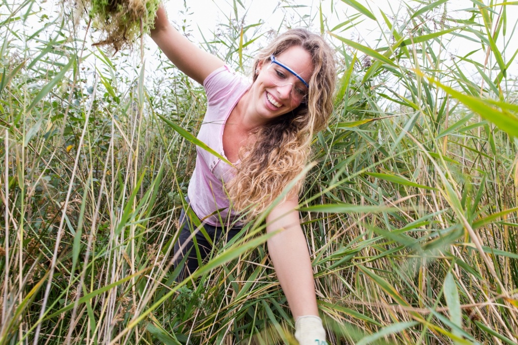 Jongeren helpen de natuur