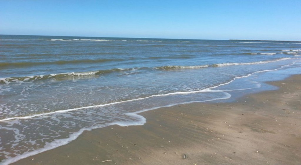 Strandexcursie bij de Zuidpier