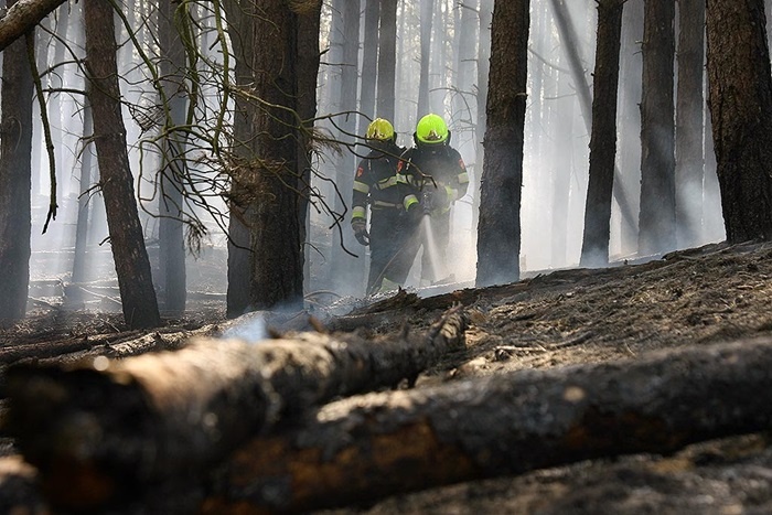 Verhoogd risico op natuurbrand in bos- en duingebieden
