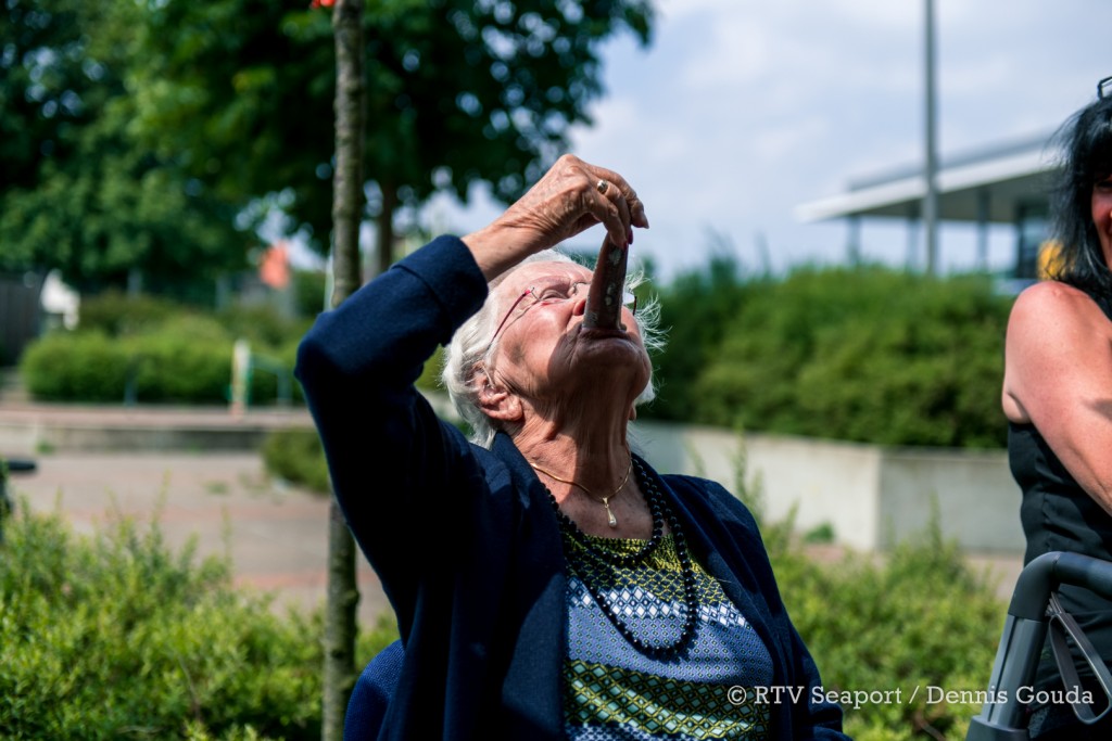 Noordzeevis deelt haring uit