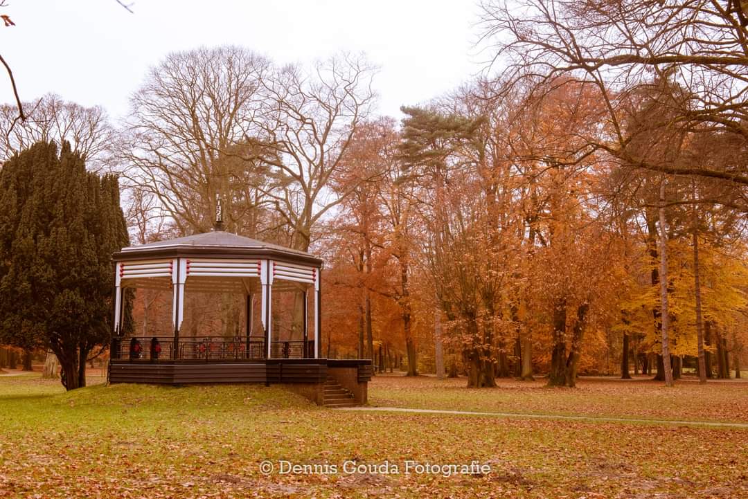 Fotowedstrijd herfstig Velsen