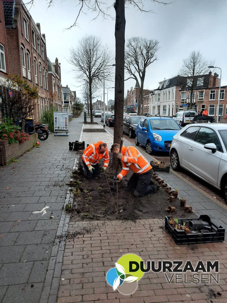 Meer groen in de Kennemerlaan