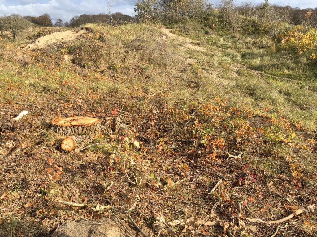 Werk in de duinen bijna afgerond