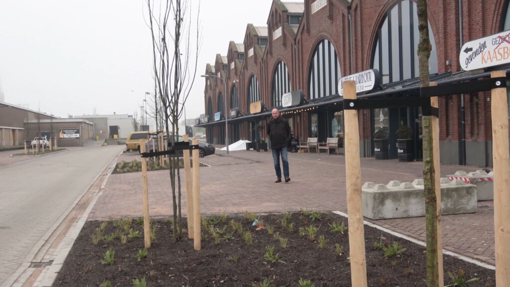 Positieve reacties metamorfose Vissershaven
