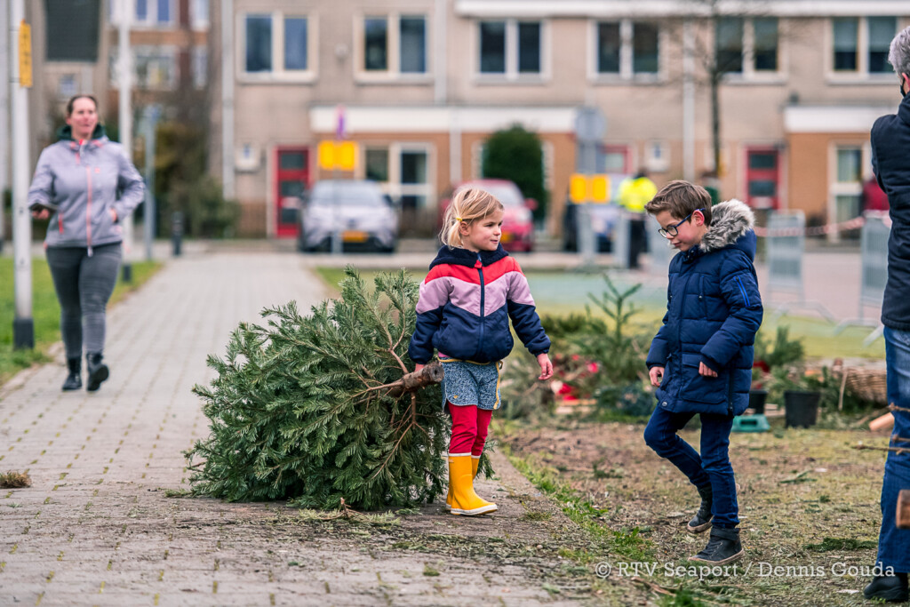 Kinderen zamelen massaal kerstbomen in