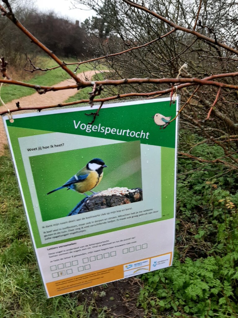 Vogels spotten met het Pieter Vermeulen Museum