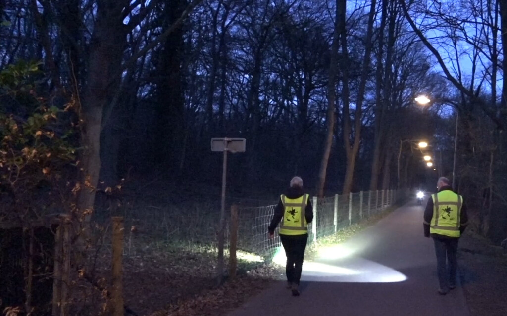 VIDEO – Jaarlijkse voorjaarstrek van amfibieën in Velsen