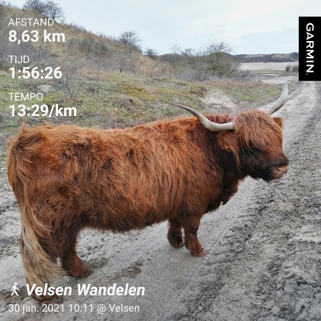 AUDIO – Geen zwemtraining of trimzwemmen dan maar wandelend naar Frankrijk.