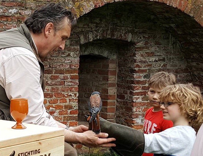 Gratis Roofvogelworkshops op de Ruïne van Brederode