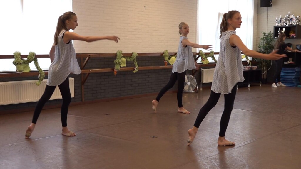 Open dag Dans & Balletstudio Jolein