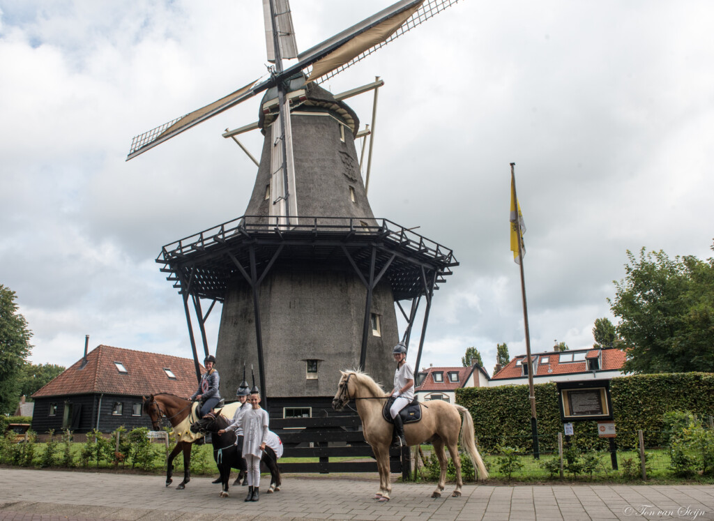 Puzzeltocht voor paard en ruiter door Santpoort