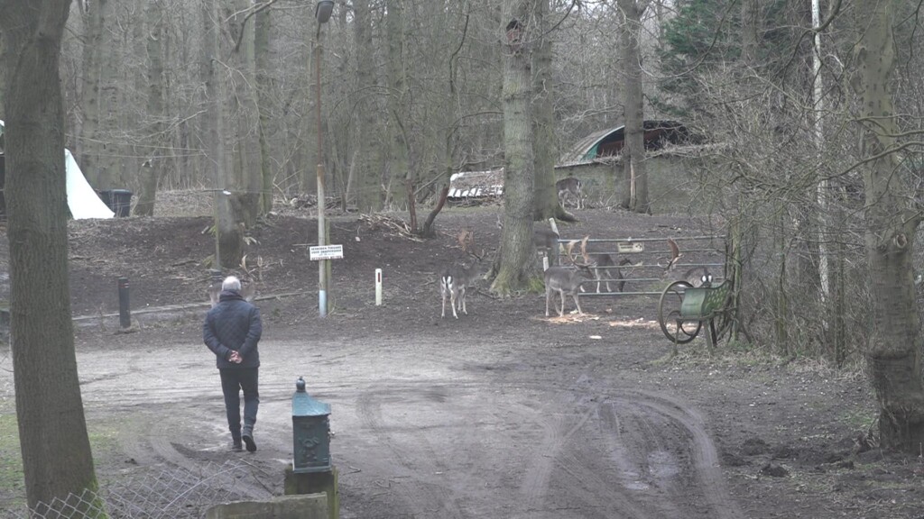 Hertenfluisteraar waarschuwt Velsen