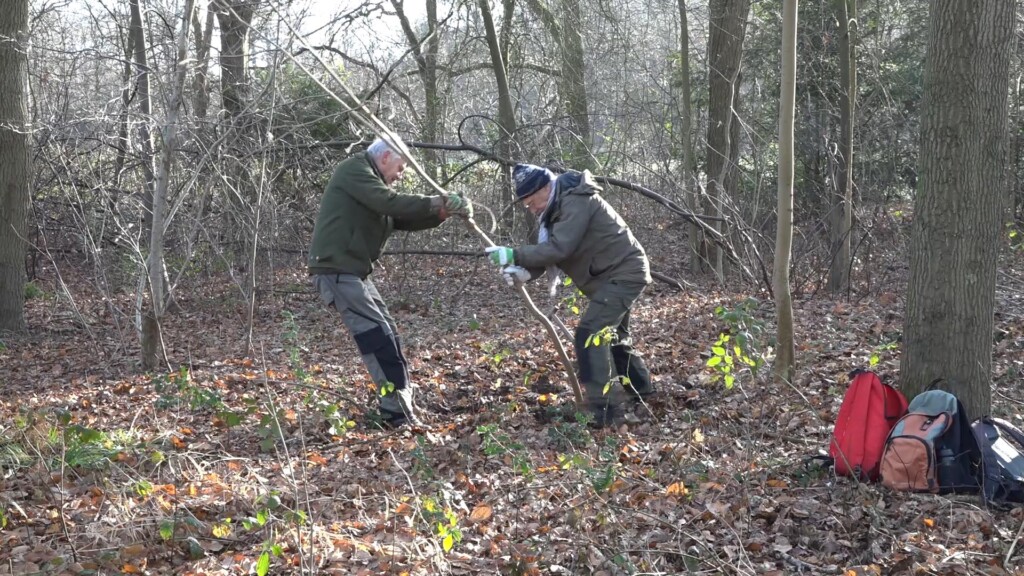 Vrijwilligers steken handen uit de mouwen op Beeckestijn