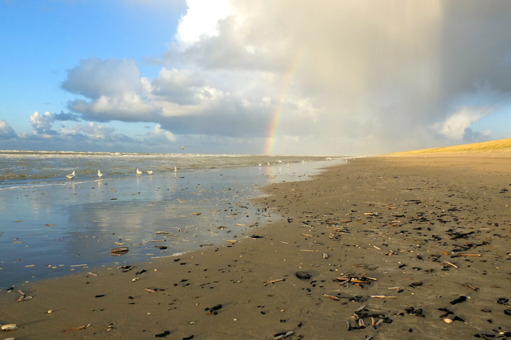Excursie om zeeleven in de Noordzee te leren kennen.