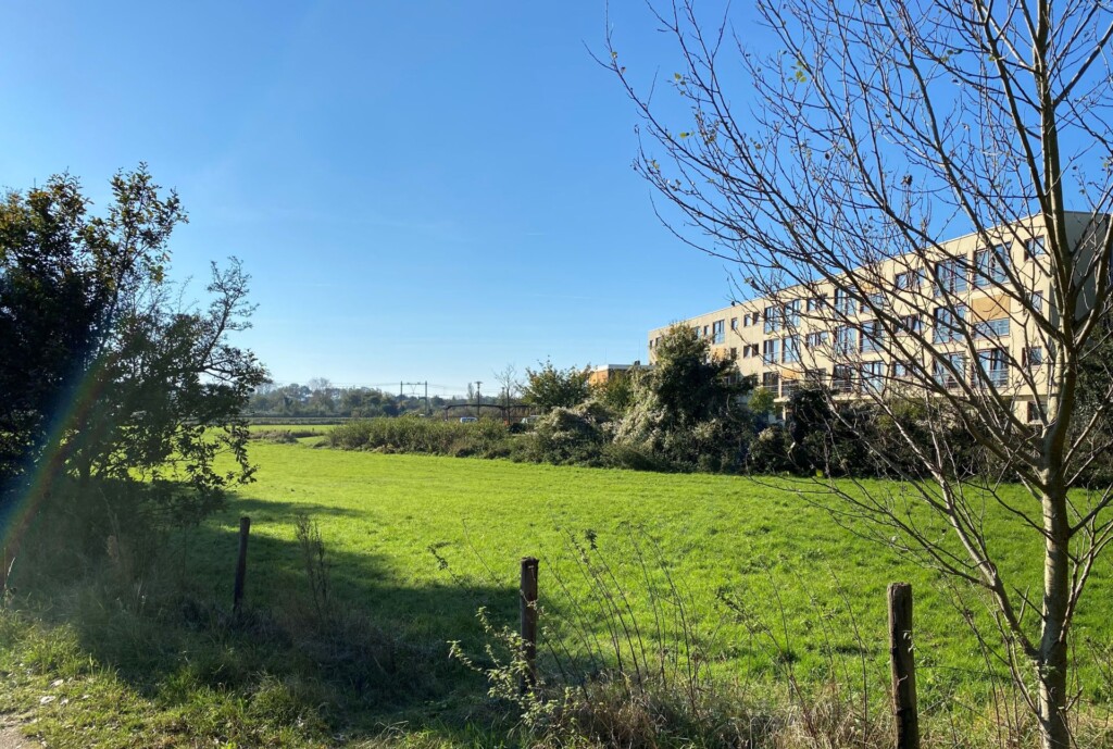 Nieuw plan Zuidoostrand Driehuis