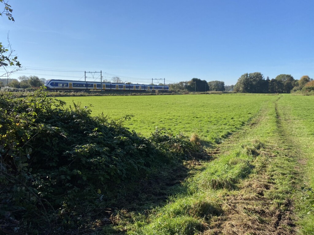 Wijkcomité Driehuis: ‘Blijven graag in gesprek over Zuidoostrand’