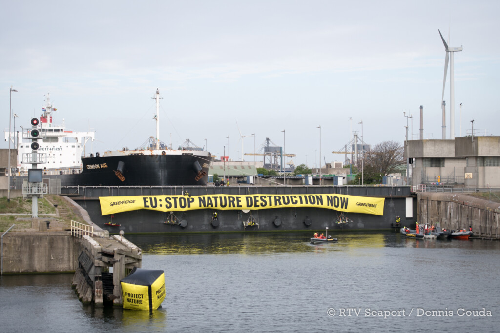 Greenpeace blokkeert vrachtschip met Braziliaanse soja in IJmuiden￼