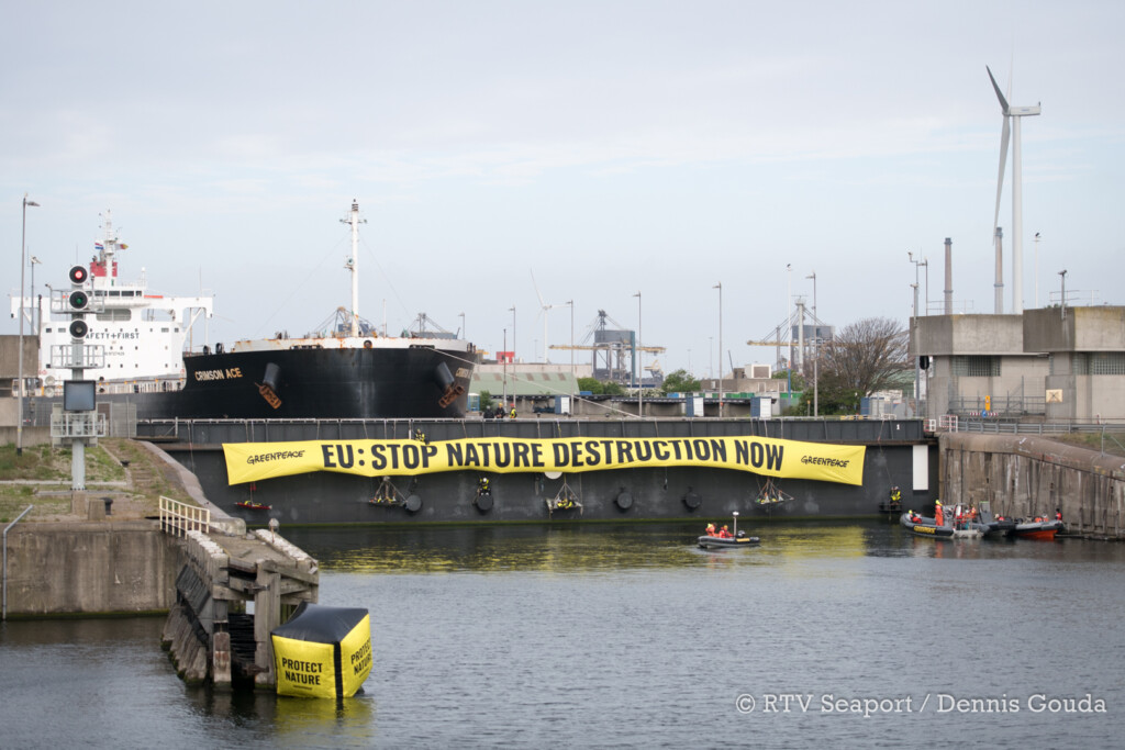 Greenpeace blokkeert vrachtschip met Braziliaanse soja in IJmuiden