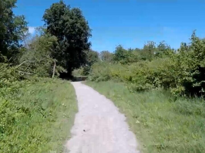 Wandel mee langs Spoorlijn ‘Vislijn’