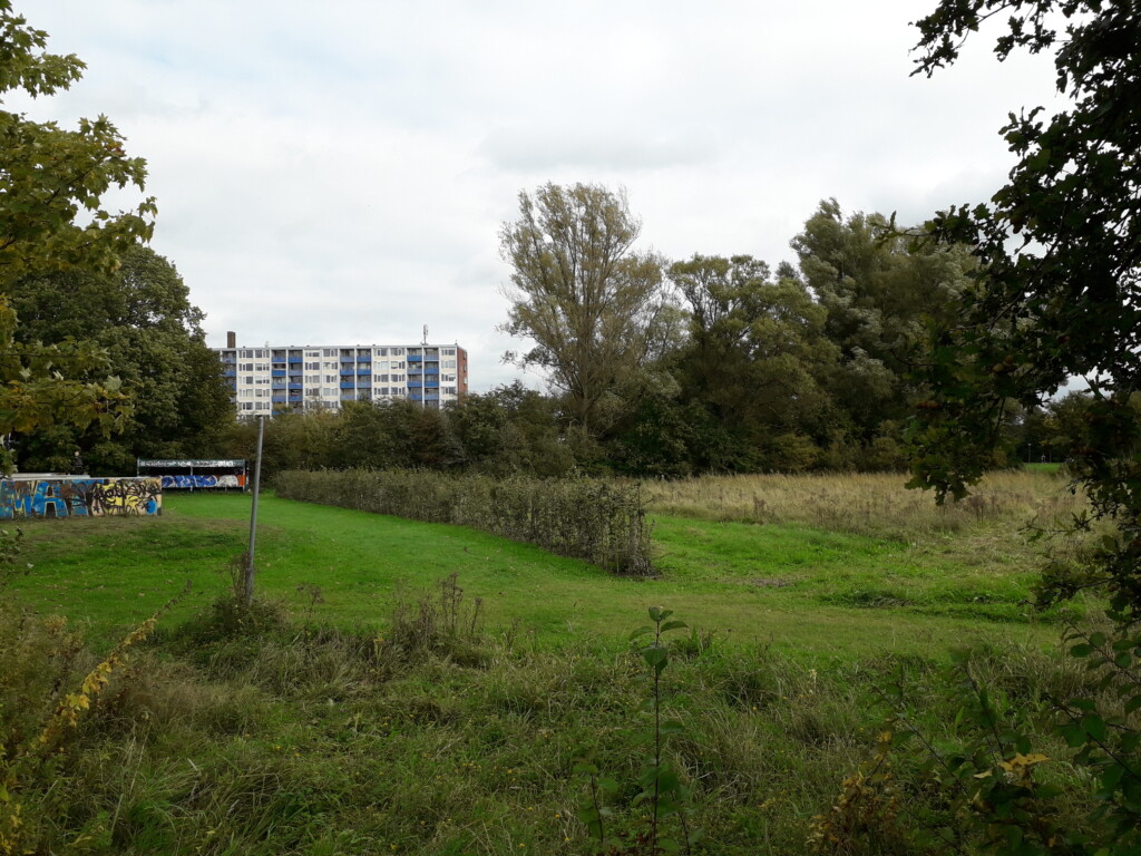 Flexwoningen Santpoort-Noord, herhaling van standpunten