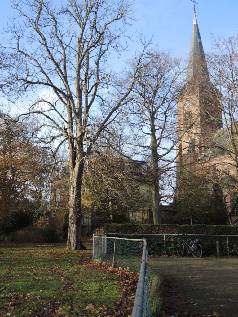 Omstreden bouwplannen Driehuis