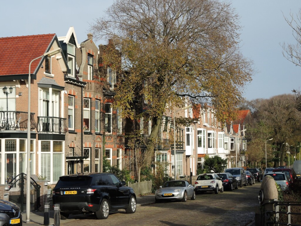 Werk aan de Wilhelminakade