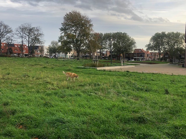 Poepoverlast Notenboompark