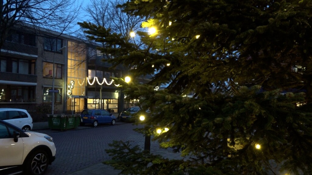 Kerstboom verhuist van Velserbroek naar Driehuis