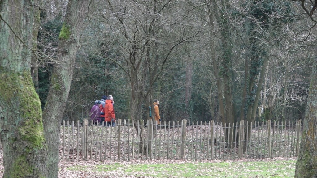 Winterwandeling in Santpoort-Noord, “Er is altijd wel wat te zien”