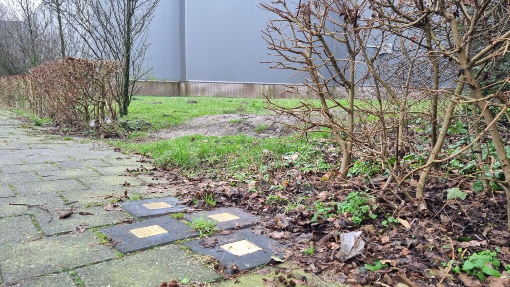 Al drie razzia-herdenkingstegels uit Velsen-Noord in korte tijd kapot (gemaakt?)