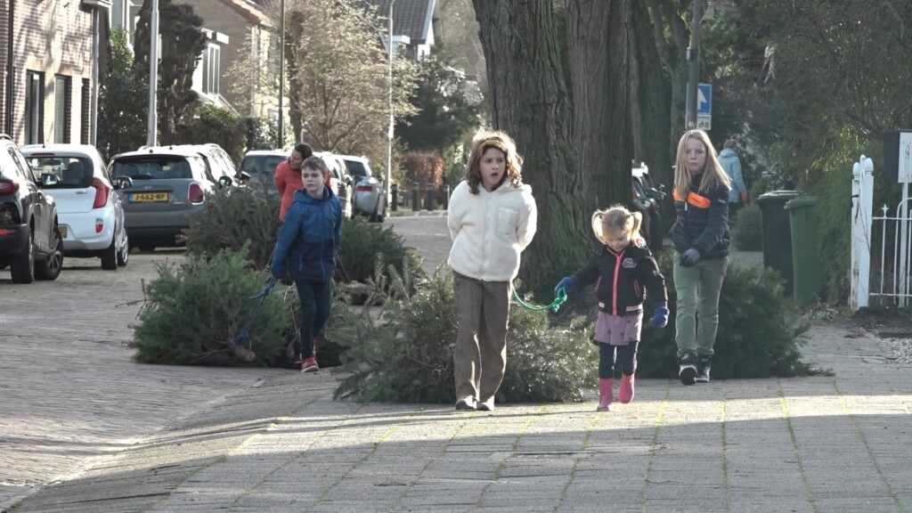 Kerstbomen inzameling wederom groot succes