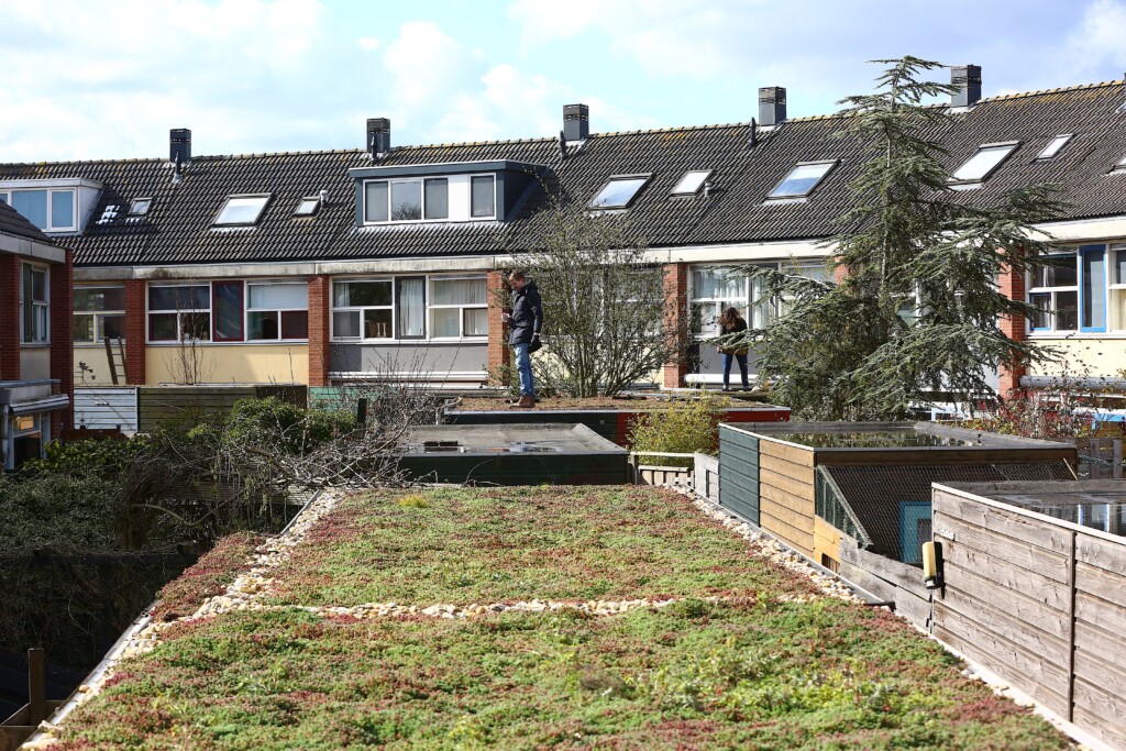 Inwoners zorgen voor 1656m2 aan groene daken in Velsen!