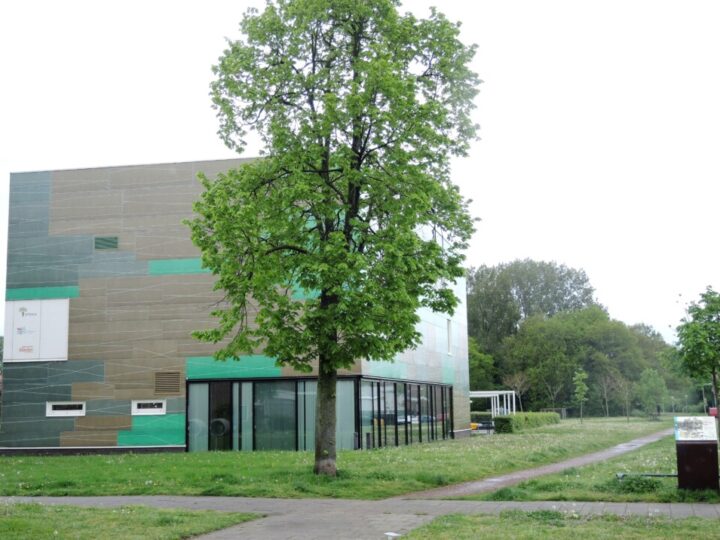 Tiny forest bij de Plataan?