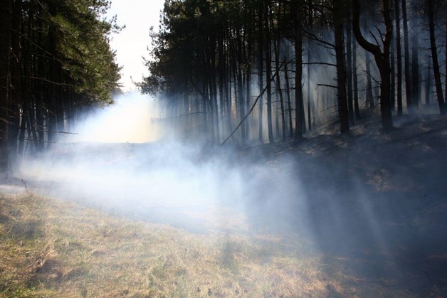 Hoog risico op bosbranden in Kennemerland door droogte