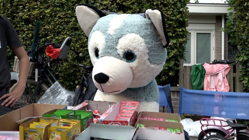 Veel te zien bij Kinder-vrijmarkt Santpoort