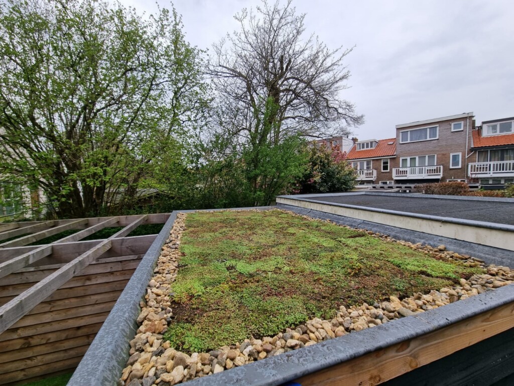 Buurtinitiatieven leveren al 1600 m2 aan groene daken op in Velsen