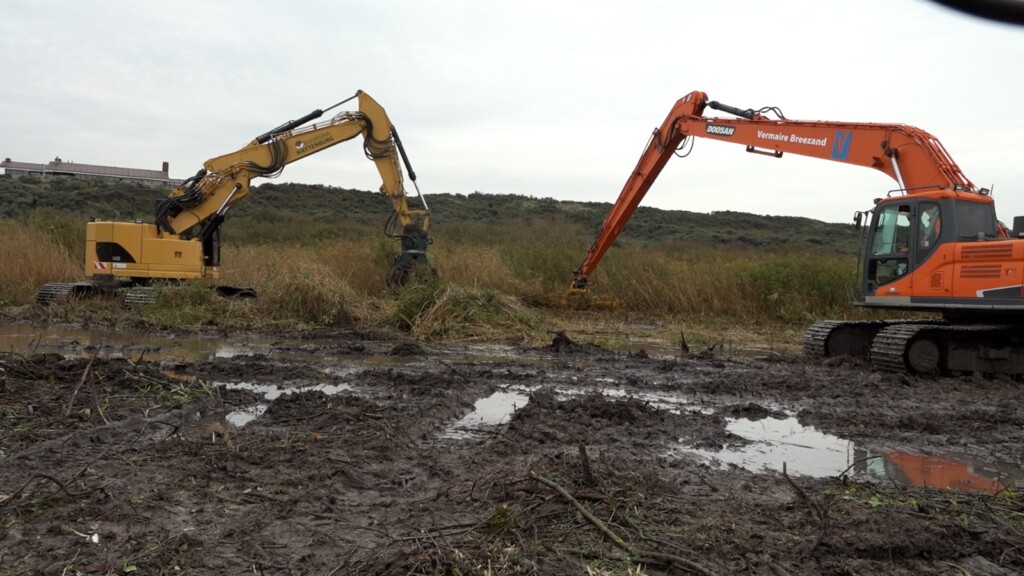Natuurherstel duinvallei Kennemerstrand gestart