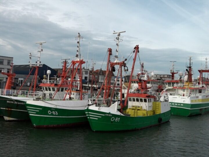 Rondvaart door de havens van IJmuiden