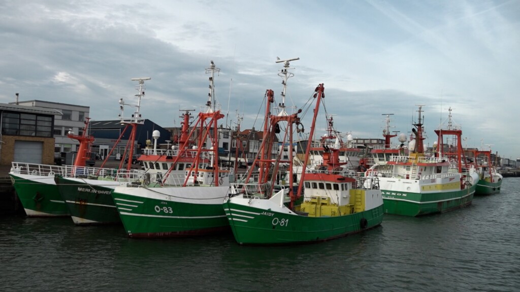Rondvaart door de havens van IJmuiden