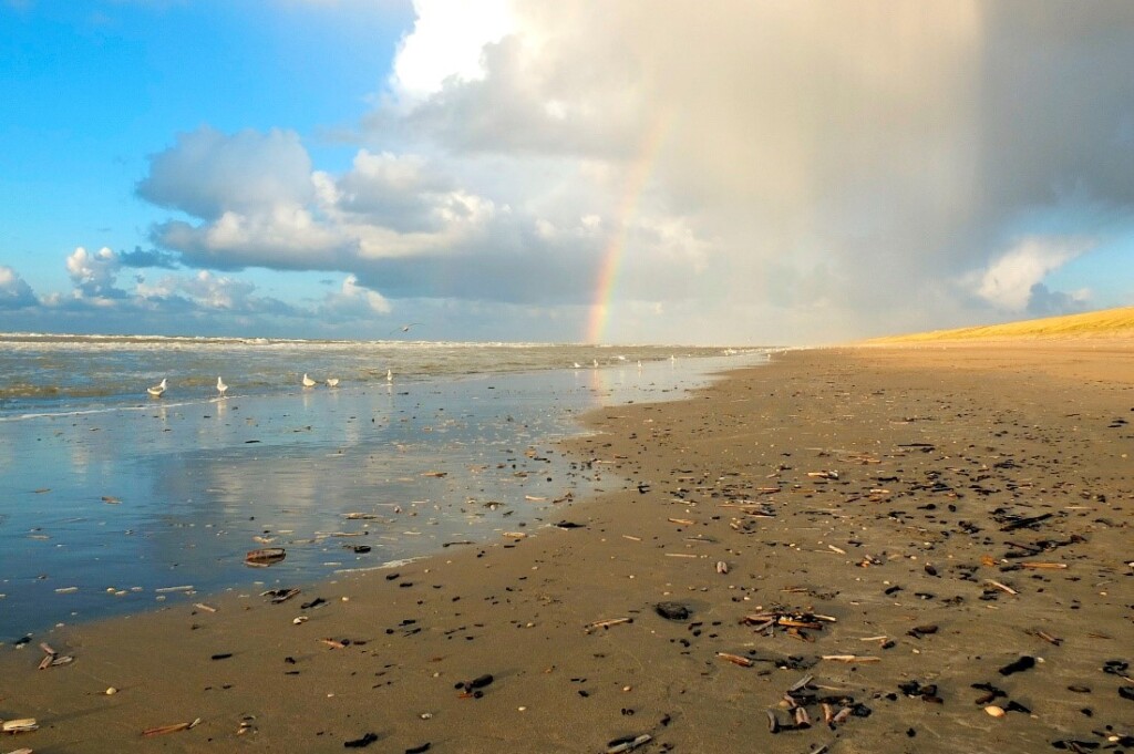 Excursie op het strand van IJmuiden bij de Zuidpier