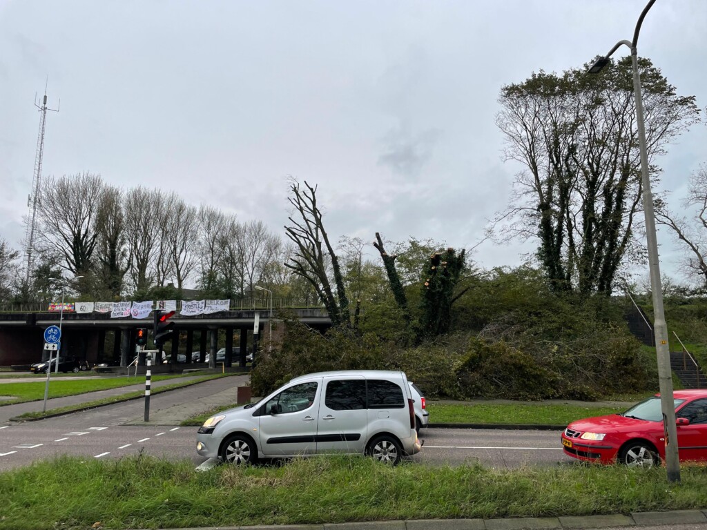 Storm op komst: gemeente bereidt zich voor